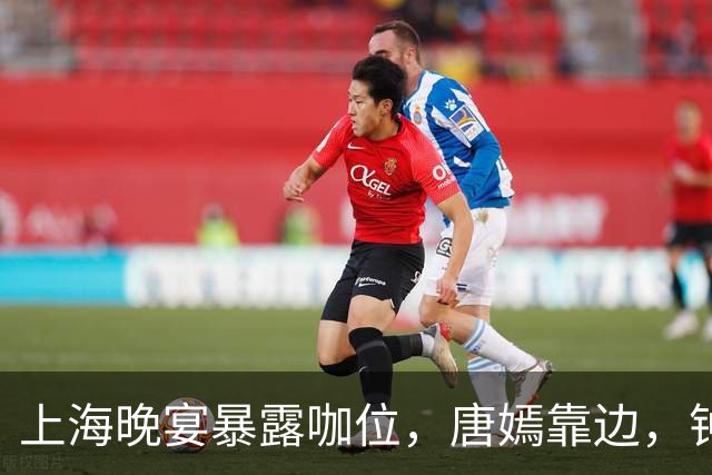 上海晚宴暴露咖位，唐嫣靠边，钟楚曦排不上，C位是影后章子怡